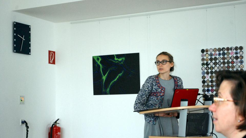 Vortrag IV