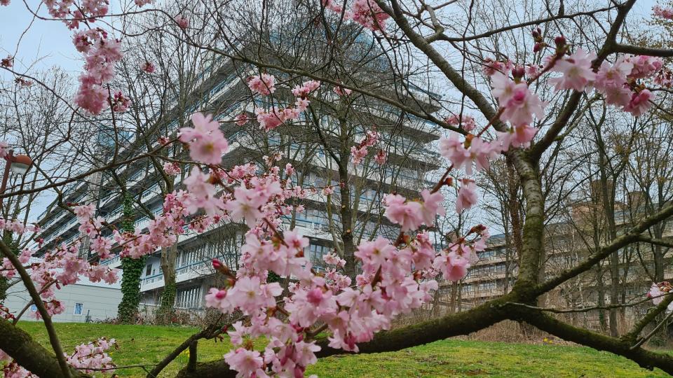 Ruhr-Universität