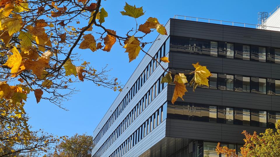 Ruhr Universität
